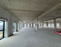 1323643_IMG_5153.jpg