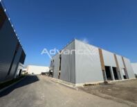1131090_IMG_6689.jpg